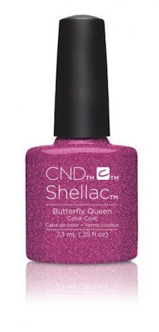 shellac_butterfly_queen