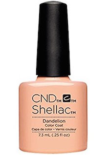 shellac_dandelion