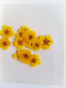 Eznailz Dried Flower-Yellow