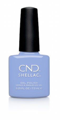 shellac_chance_taker