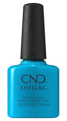 shellac_pop-up_pool_party