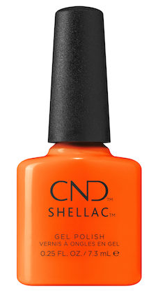 shellac_popsicle_picnic
