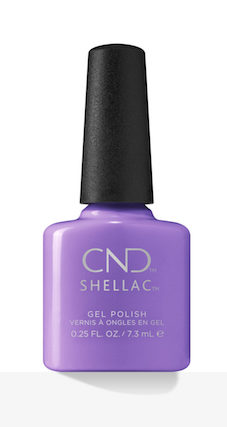 shellac_artisan_bazaar