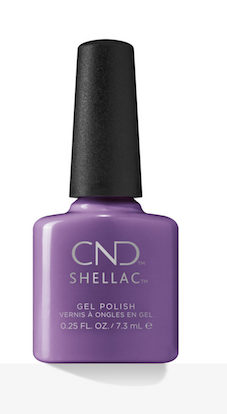 shellac_Absolutely_Radishing