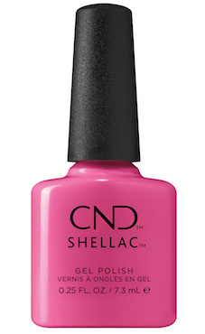 CND_SH_IN_LUST