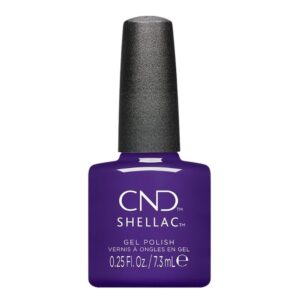 Shellac Battle Royale